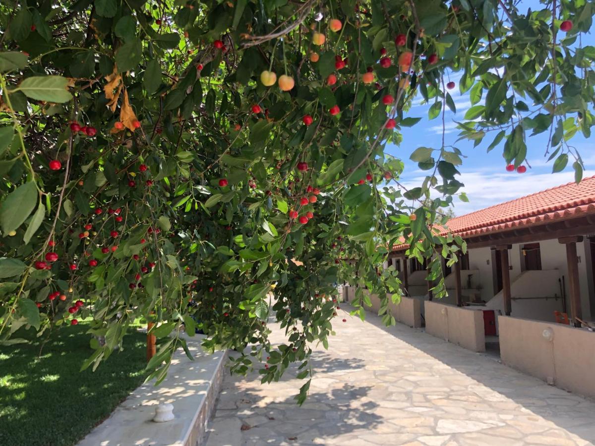 Gregory'S Village Plati  Buitenkant foto